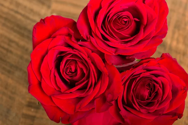 Overhead of three red roses — Stock Photo, Image