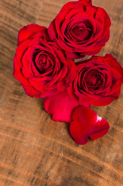 Overhead of group of red roses — Stock Photo, Image