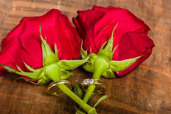Gold wedding bands on red roses — Stock Photo, Image
