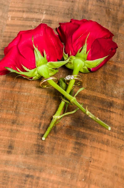 Two red roses with wedding rings