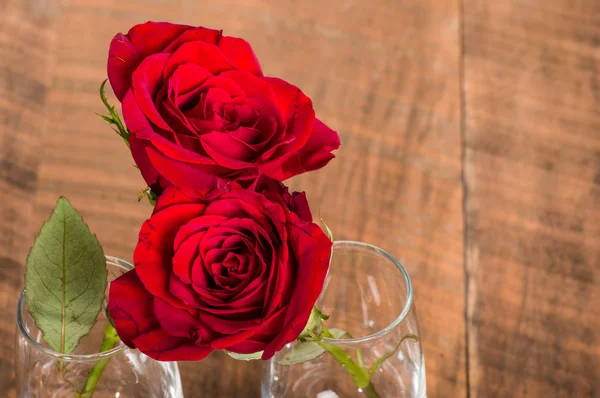 Roses hugging in wine glasses — Stock Photo, Image