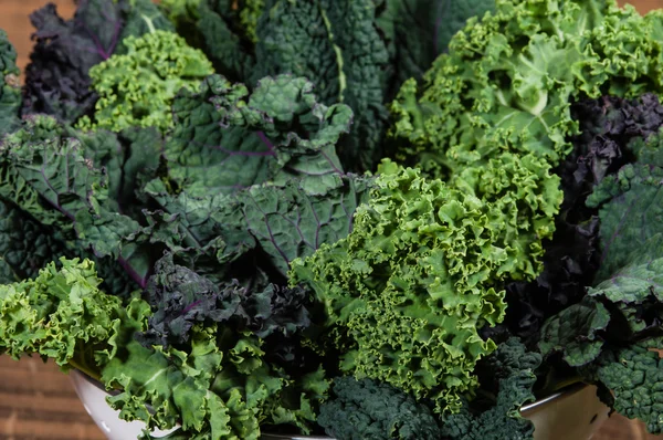 Red and green kale arrangement — Stock Photo, Image