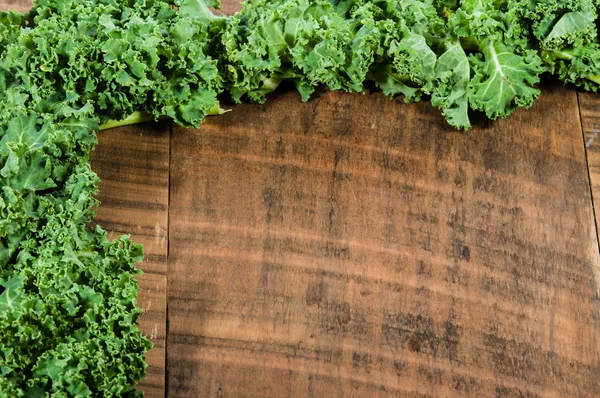 Curly kale leaves for border — Stock Photo, Image