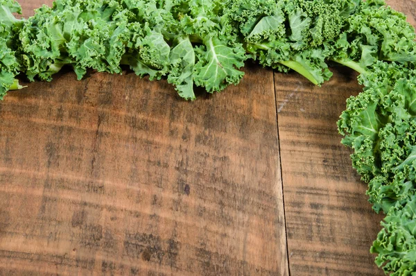 Curly kale leaves for border — Stock Photo, Image