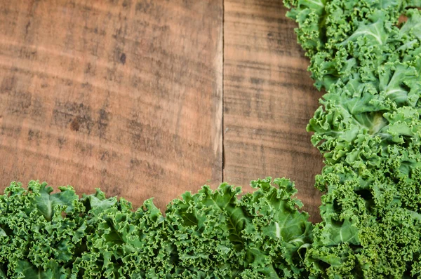 Curly kale leaves for border — Stock Photo, Image