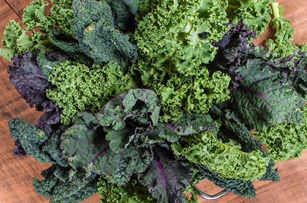 Red and green kale arrangement — Stock Photo, Image