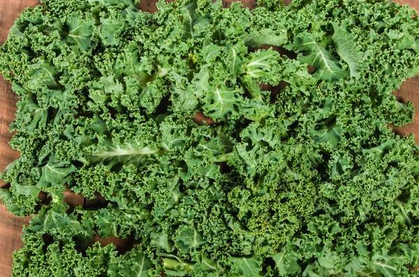 Green curly kale as background — Stock Photo, Image