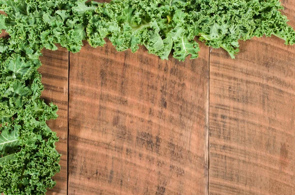 Curly kale leaves for border — Stock Photo, Image