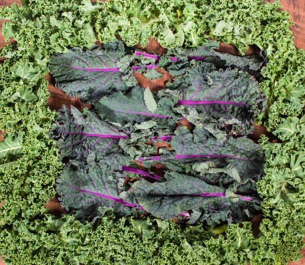 Curly and red kale arrangement — Stock Photo, Image