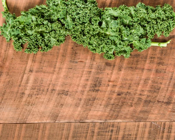 Curly kale leaves for border — Stock Photo, Image