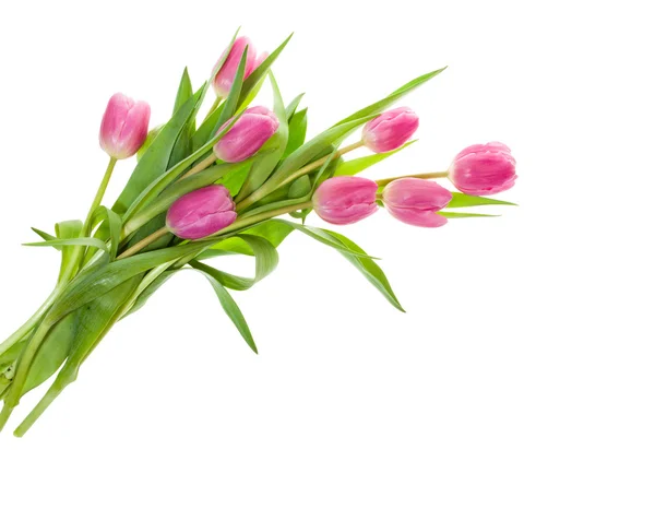 Buquê de tulipas rosa isolado em branco — Fotografia de Stock