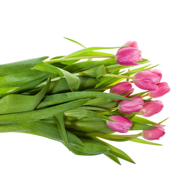 Buquê de tulipas rosa isolado em branco — Fotografia de Stock