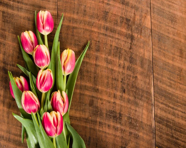 Bouquet of fresh pink and yellow tulips — Stock Photo, Image