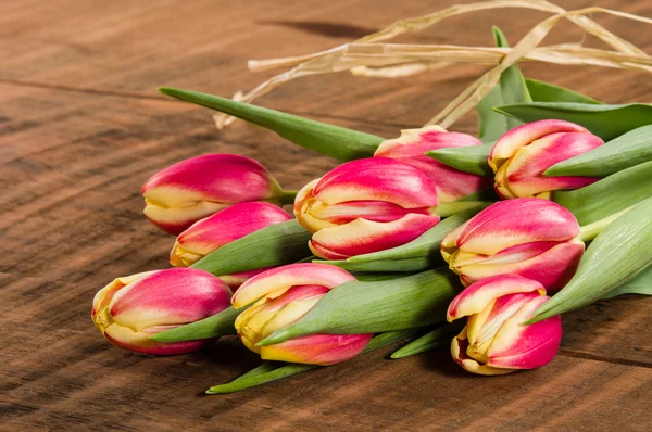 Bouquet of fresh pink and yellow tulips — Stock Photo, Image