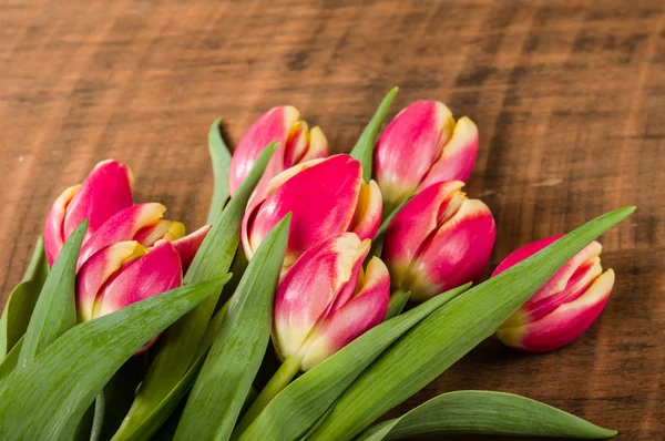 Bouquet of fresh pink and yellow tulips — Stock Photo, Image