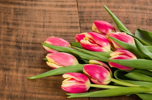 Bouquet of fresh pink and yellow tulips — Stock Photo, Image