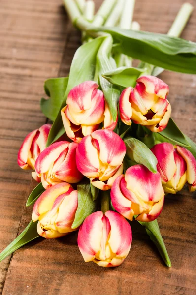 Bouquet of fresh pink and yellow tulips — Stock Photo, Image