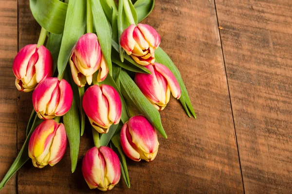 Bouquet of fresh pink and yellow tulips — Stock Photo, Image