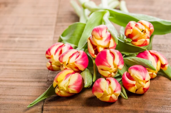 Bouquet of fresh pink and yellow tulips — Stock Photo, Image