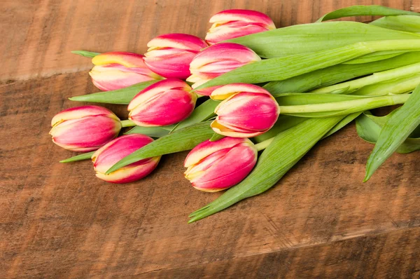 Bouquet of fresh pink and yellow tulips — Stock Photo, Image