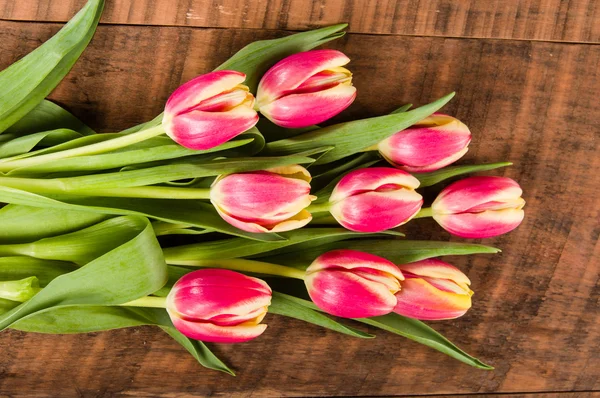 Bouquet of fresh pink and yellow tulips — Stock Photo, Image