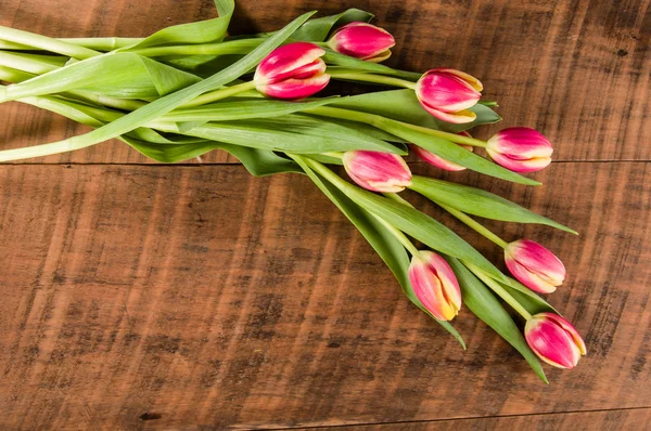 Buquê de tulipas rosa e amarelas frescas — Fotografia de Stock