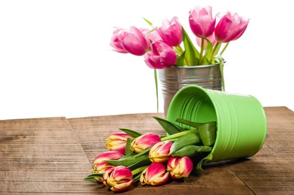 Pink tulips in a bouquet container — Stock Photo, Image