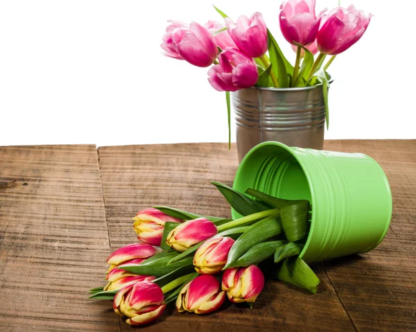 Pink tulips in a bouquet container — Stock Photo, Image