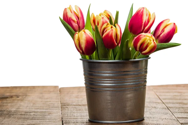Silver container with fresh tulips