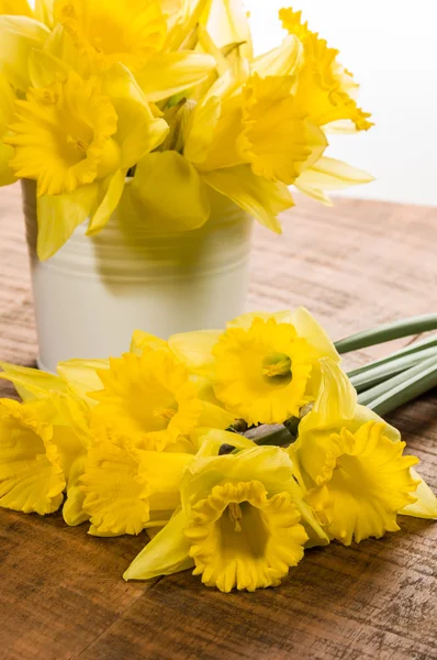 Daffodil flowers in a white can — Stock Photo, Image