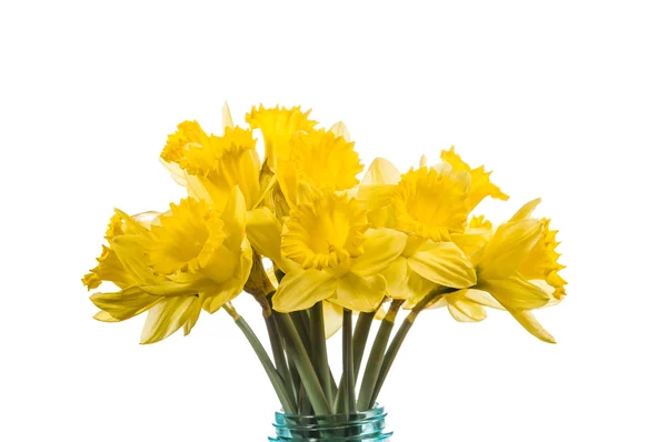 Bouquet of yellow daffodil flowers in a jar — Stock Photo, Image