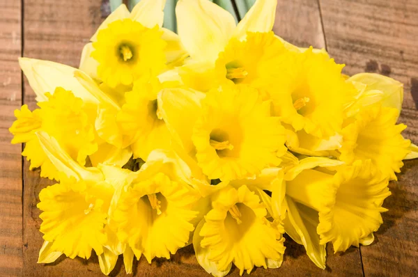 Bouquet of yellow daffodils — Stock Photo, Image