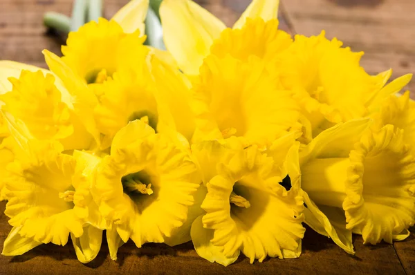 노란 수선화 꽃다발 — 스톡 사진
