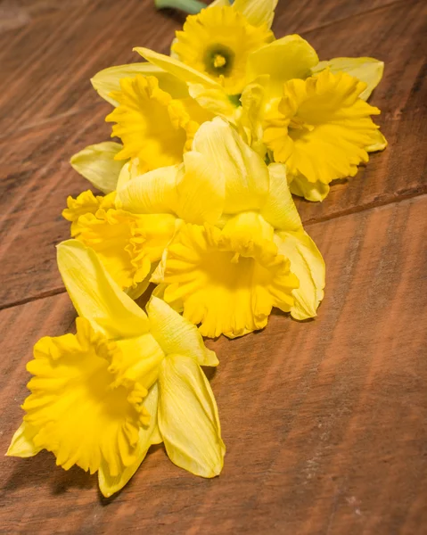 Bouquet of yellow daffodils — Stock Photo, Image