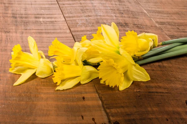 Bouquet of yellow daffodils — Stock Photo, Image