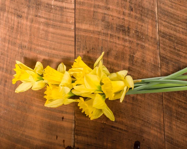 Buket daffodils kuning — Stok Foto