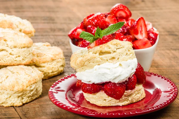 Schlagsahne auf Keks mit Erdbeeren — Stockfoto