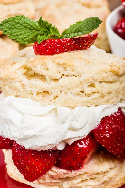 Sobremesa de morango com chantilly — Fotografia de Stock