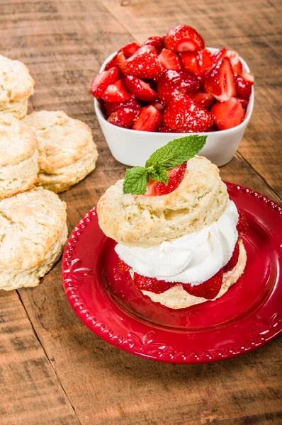 Erdbeeren und Kekse auf Teller senkrecht — Stockfoto