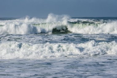 Sahilde tuzlu su spreyi Rüzgar esiyor