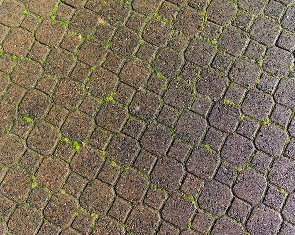 Patterned pathway of paver stones — Stock Photo, Image