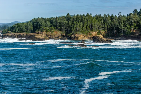 Seashore lined with green trees — Stock Photo, Image