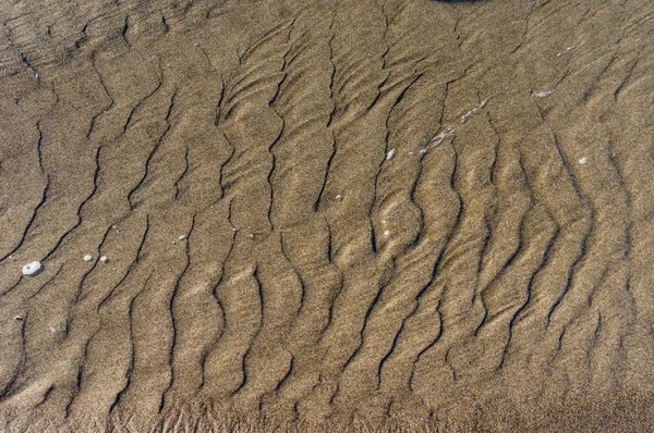 Modello ondulato nella sabbia in spiaggia — Foto Stock