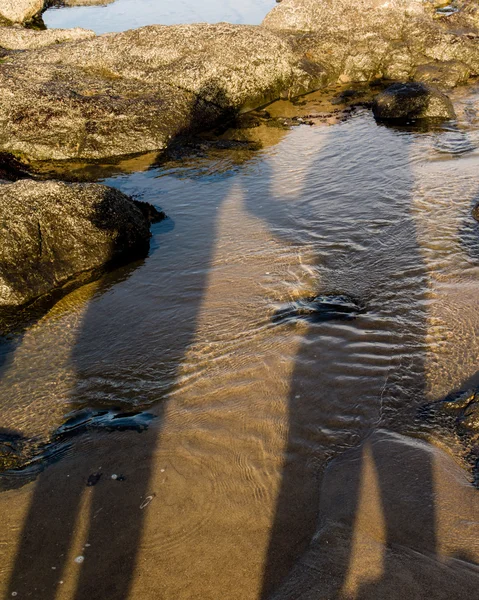 Sombra de um casal de mãos dadas na praia — Fotografia de Stock