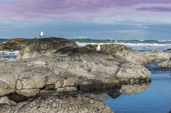 Cena costeira com ondas e céu raivoso — Fotografia de Stock