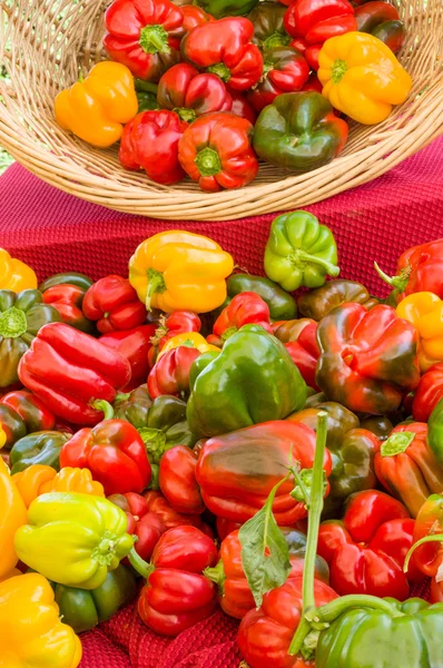 Colorful bell peppers at the market — Stock Photo, Image