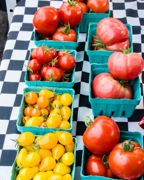 Présentoir de tomates en boîtes — Photo