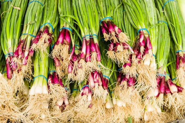 Rode lente-uitjes bundels op de markt — Stockfoto