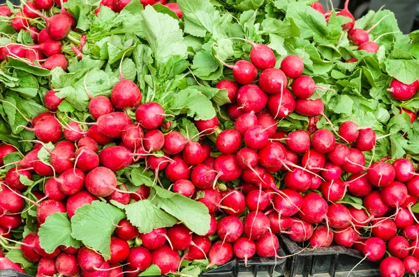 Świeże rzodkiewki czerwone wyświetlane na rynku — Zdjęcie stockowe