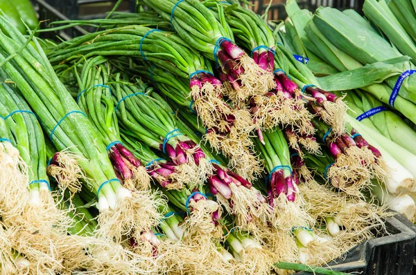 Rote Frühlingszwiebeln auf dem Markt — Stockfoto